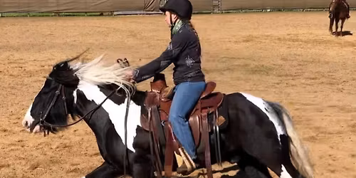 Intro Horsemanship Clinic