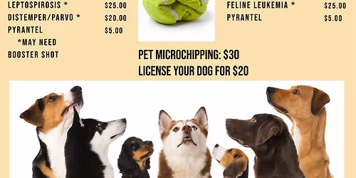 Low-Cost Pet Vaccination and Licensing Clinic
