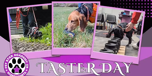 Scent sports taster day 