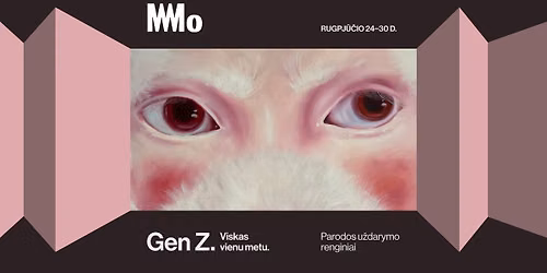 Gen Z. Viskas vienu metu. Parodos u\u017edarymo renginiai