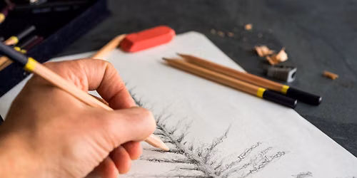 Sketch Your Favorite Tree