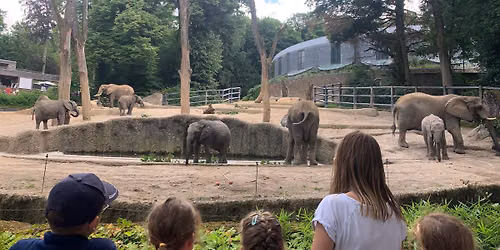 Sommerferienfreizeit im Gr\u00fcnen Zoo - Ferienwoche 3