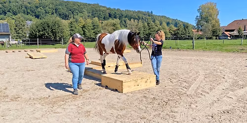 Extreme Trail Kurs in 3293 Dotzigen BE