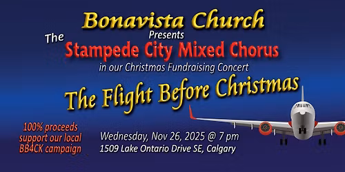 Flight Before Christmas