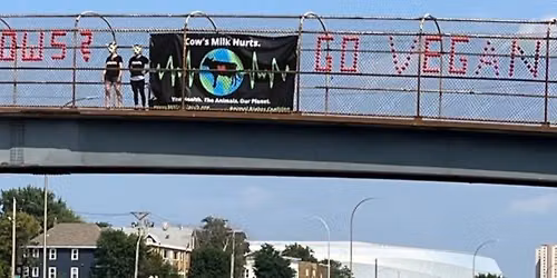 MN State Fair Hwy 94 Bridge Outreach - Volunteer Opportunity