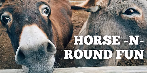 Horse-N-Round Fun