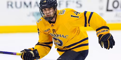Quinnipiac Bobcats at Brown Bears Mens Hockey