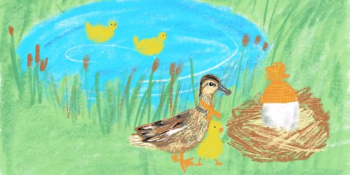 Short Stories, Tall Tales: Adventures of an Ugly Duckling