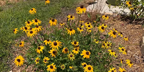 Suncoast Chapter Meeting- Florida Native Plant Society