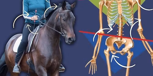 Biomechanics and Franklin Method Clinic