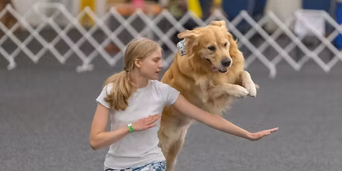 \u2728 Trick Training with Rylee \u2013 Special Session! \u2728