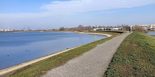 Grief Walk at Walthamstow Wetlands