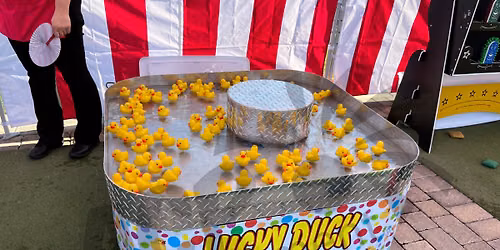Duck Pond at McCallum Theatre