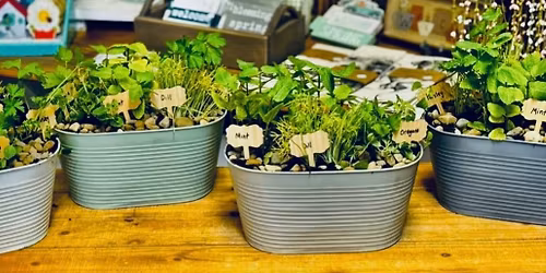 Spring Herb Garden Workshop