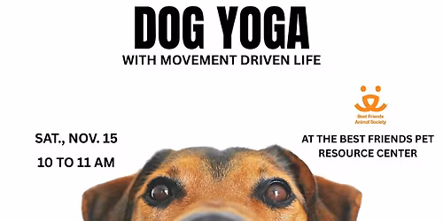 Dog Yoga with Movement Driven Life