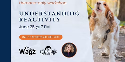 Human Workshop: Understanding Reactivity