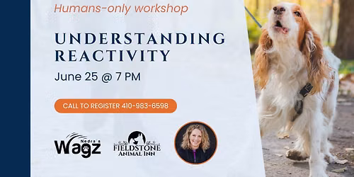 Human Workshop: Understanding Reactivity