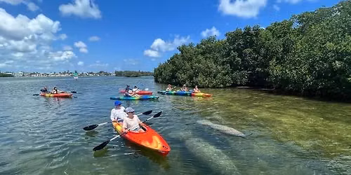 Kayak to Caladesi Island and lunch at Frenchys restaurant 
