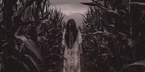 Halloween Maislabyrinth Hannover