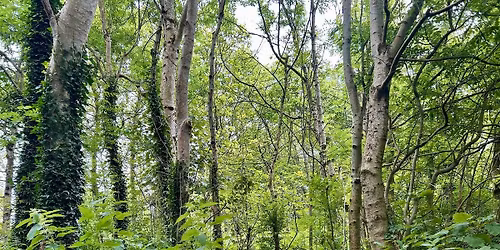 The Hidden Science & Engineering of Terryland Forest Park, Past & Present