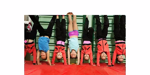 Active & Healthy Acrobatics workshop Labrador