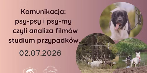 Komunikacja: psy-psy i psy my - czyli analiza film\u00f3w i studium przypadk\u00f3w.
