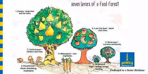 Design a Backyard Food Forest