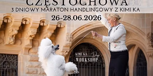 3 dniowy MARATON HANDLINGOWY z Kimi Ka | 26-28.06 | Cz\u0119stochowa 