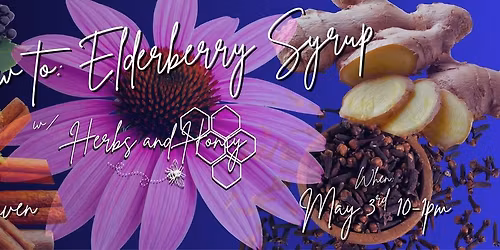 How to: Elderberry Syrup (and a touch of Oxymel!)