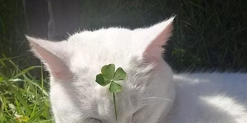 Make Your Own Luck | Confidence Workshop and Lucky Charm Crafting