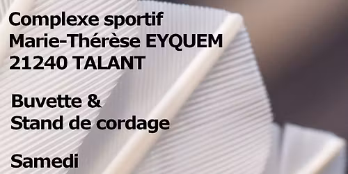 Tournoi de Talant