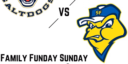 Lincoln Saltdogs at Sioux Falls Canaries at Sioux Falls Stadium