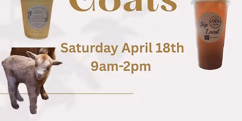 Sip & Play with baby Goats 