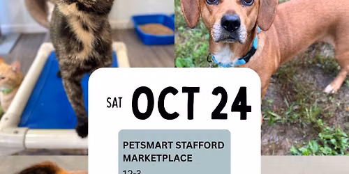 10\/24 National Adoption Week at PetSmart Stafford Market Place