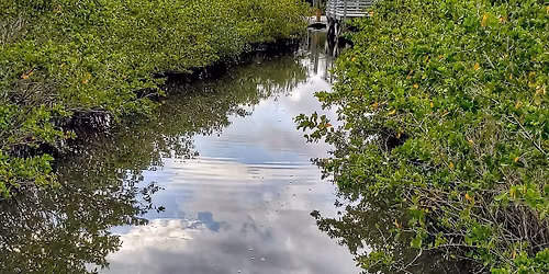 Clam Bayou Environmental History Walking Tour