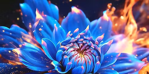 Pause & Reflect: A 3-Part Reset \/\/ Session 2 - Gratitude