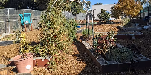 Cambridge Garden Workday