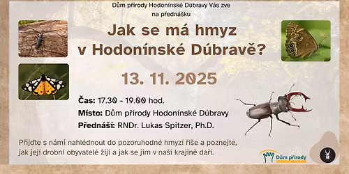 Jak se m\u00e1 hmyz v Hodon\u00ednsk\u00e9 D\u00fabrav\u011b?