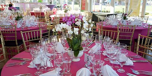 A Wine & Culinary Experience