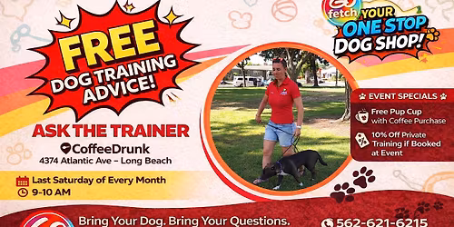 Puppicinos and Puppies