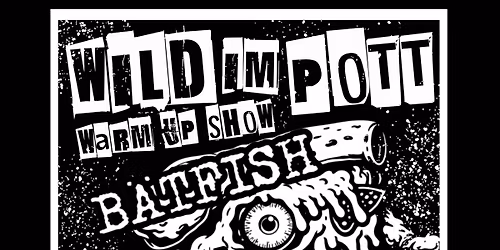 WILD IM POTT - Warm-Up Show mit B\u00e4tfish, Tele-Bar & Flag Jerks