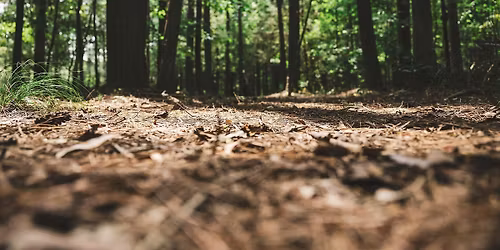 Rooted Reflections: Nature Journaling Workshop for Women