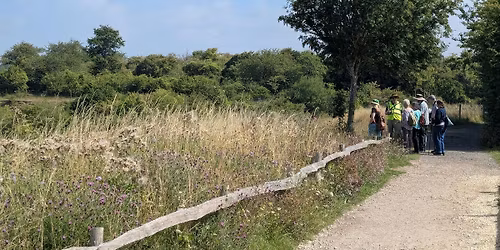 Guided Stroll of College Lake - College Lake, Friday 21 November