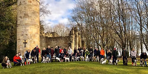 Norwich Bullie Walk