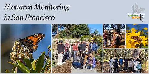 Monarch Monitoring in San Francisco