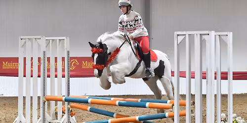NST Maranzo Stud Winter NEW YEAR Unaffiliated Showjumping