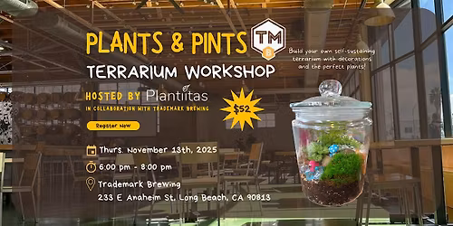 Plants & Pints: Terrarium Workshop (Plantiitas x Trademark Brewing)