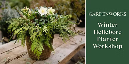 Winter Hellebore Planter Workshop at GARDENWORKS Burnaby-Lougheed