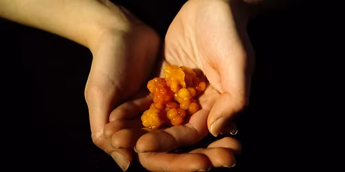 NNAHM Book Reading: \u201cHow to Survive: Practicing Care in a Changing Climate\u201d