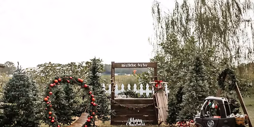 Christmas Mini\u2019s